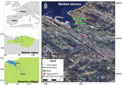 Financial Inputs for Ecosystem Service Outputs: Beach Recreation Recovery After Investments in Ecological Restoration